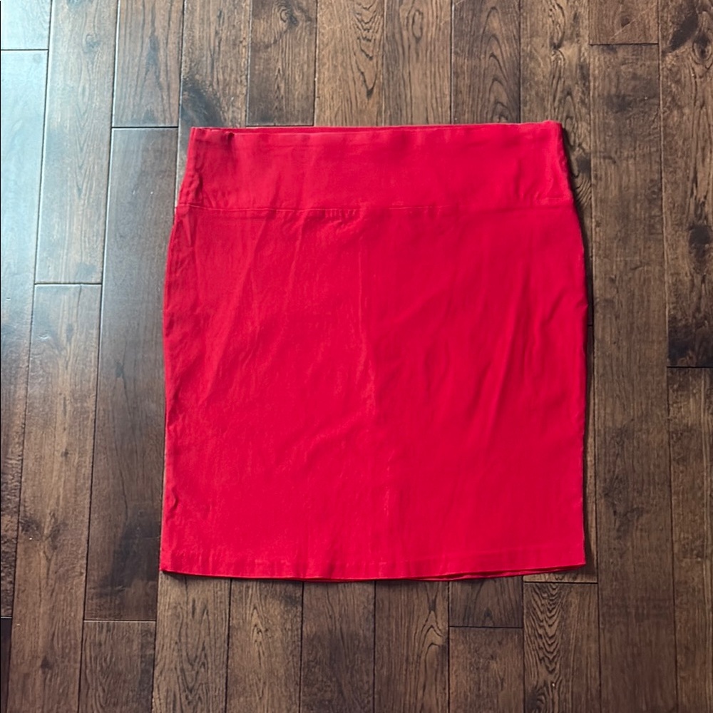 Robin Artizan Stretch skirt